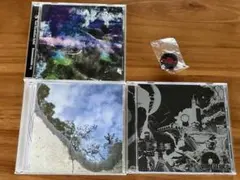 9mm Parabellum Bullet バッジ　ステッカー　残響レコード