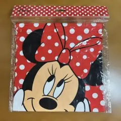 ミニーマウス 巾着 ディズニー Disney レトロ