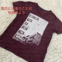 貴方に出逢うことは奇跡のよう　バーガンディ Vネック Tシャツ