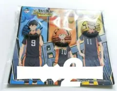 ハイキュー‼︎  一番くじ レッツゴートーキョー!! G賞 缶バッジセット