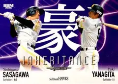 Rawlings 横浜DeNAベイスターズ 佐伯貴弘選手サイン入りグローブ 