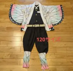 鬼滅の刃　胡蝶しのぶ　120サイズ 中古　コスプレ　ハロウィン衣装