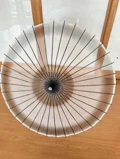 Item thumbnail for item 538de6ad-e511-4e8b-9339-1ba3fb257829