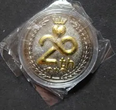 N様専用出品 AKB48グッズ