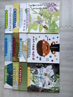 かがくのとも　全12冊セット 2020年4月から2021年3月号