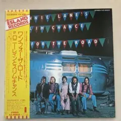 専用】希少国内プロモ白ラベル ロニーレインズスリムチャンス ワン