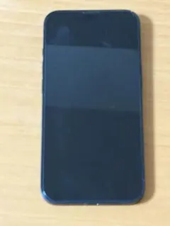 Apple iPhone 13本体