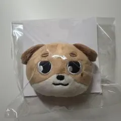 2026年最新】Day6 デニマルズの人気アイテム - メルカリ