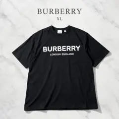 【極美品、現行品】バーバリー　Tシャツ　ノバチェック　ワンポイント　刺繍　M寸 極美品、現行品】バーバリー Tシャツ ノバチェック ワンポイント 刺繍