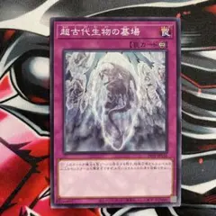 遊戯王 超古代生物の墓場 コレクターズレア psa10 bonanza 2025年最新】超古代生物の墓場の人気アイテム - メルカリ