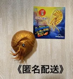 《匿名配送》オウムガイ　金　シーダイナソーズ　アンドコ　ディアゴスティーニ