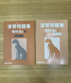 予習シリーズ　演習問題集 理科 6年 下