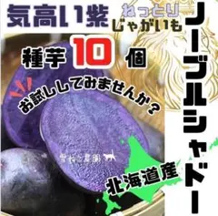 勝行様 リクエスト 4点 まとめ商品