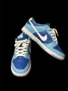 Nike Dunk Low DM10121-400 argon 27.0のサムネイル