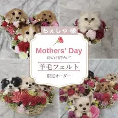 母の日ギフト　羊毛フェルト　花かご　オーダー