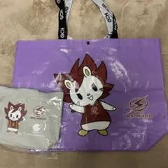 川崎ブレイブサンダース ロウル エコバッグ ランチバッグセット