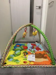 はらぺこあおむし アクティビティプレイジムのサムネイル