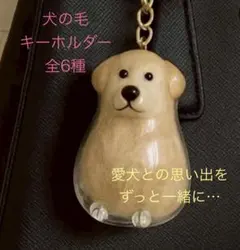 犬の毛　収納　毛玉　メモリアルグッズ　キーホルダー ３点セット