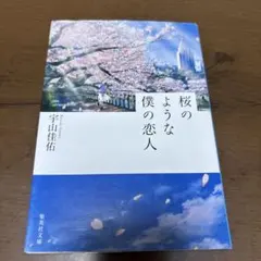HAYA様 リクエスト 3点 まとめ商品