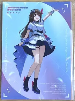 ホロライブ 5th fes Blu-ray 特典 イラストカード 全53枚