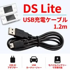 DSライト DSL NDS 充電器 USBケーブル DS Lite 新品