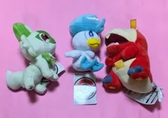 ポケモン ぬいぐるみ 御三家 3体セット タグ付