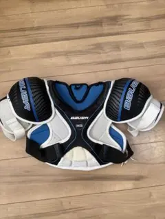 Item thumbnail for item 0e16f929-bab8-4777-af38-9e3f943a1867