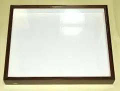 大型ドイツ型標本箱 中古美品 50.8×41.8×6.2cm - メルカリ