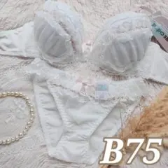 №1610【B75】ミルキーエンジェルレーシィブラジャー＆フルバック ショーツ