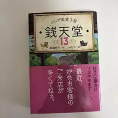 ふしぎ駄菓子屋 銭天堂 13