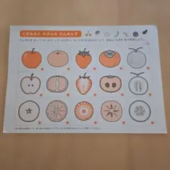 匿名配送　100てんキッズドリル　果物も野菜の断面図　ボード　ポスターのサムネイル