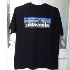 patagonia P-6ロゴ Tシャツ L ブラック 未使用