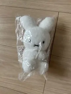 Item thumbnail for item aa93919e-3433-42c2-88e9-d7509c19b95d