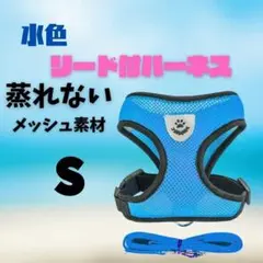 Item thumbnail for item 5be0f7ae-892b-493c-a65b-9133e6617e69