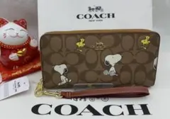 Item thumbnail for item d42378c8-a7c0-4304-910a-a08fcbfe52e1