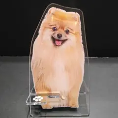 Item thumbnail for item 66f571b7-ab32-4576-9fa4-784ebb66f9a2