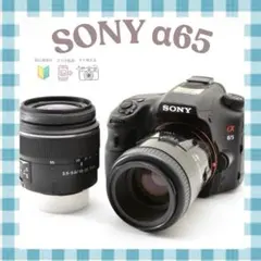 SONY α65✨高速連写機能✨届いたらすぐに使えます✨スマホ転送◎ ✨SONY α65✨高速連写機能✨一眼レフデビュー✨スマホ転送✨すぐ使える