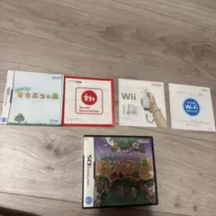 おいでよ どうぶつの森 ニンテンドーDS ソフト