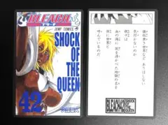 BLEACH ブリーチ 巻頭歌骨牌 42巻 ハリベル かるた