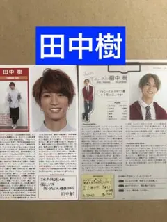 (レア) 田中樹プロフィール切り抜きセット