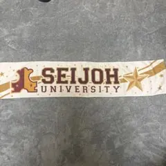 星城大学 SEIJOH UNIVERSITY
