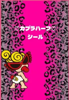 カプラハーフ シールセット2枚 ヒスミニ