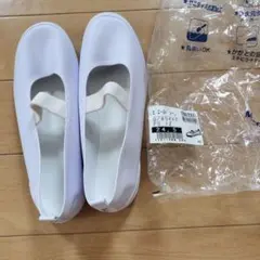 Item thumbnail for item 885f7291-e666-40a8-828f-ff256f913f64