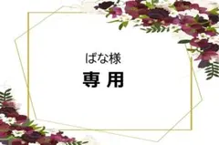 2026年最新】大木ナーサリー クリスマスローズの人気アイテム - メルカリ