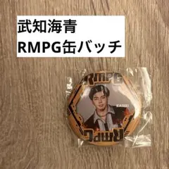 武知海青 缶バッジ RMPG