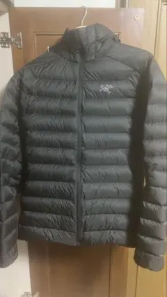 ARC'TERYX cerium hoodyのサムネイル