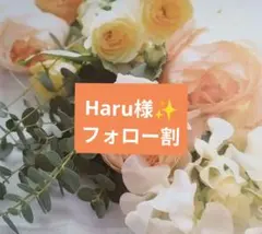 Harui様専用ページ