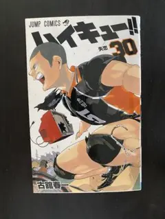 ハイキュー!! 30巻