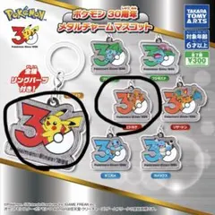 ポケモン 30周年 メタルチャームマスコット ピカチュウ　ヒトカゲ　2個セット