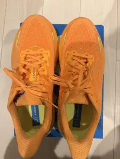 HOKAクリフトン9ワイド廃盤希少品 27cm